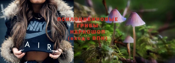 меф Богданович