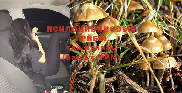 МДМА Богородицк